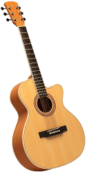 Guitar Lessons